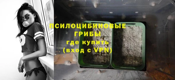 бутират Медногорск