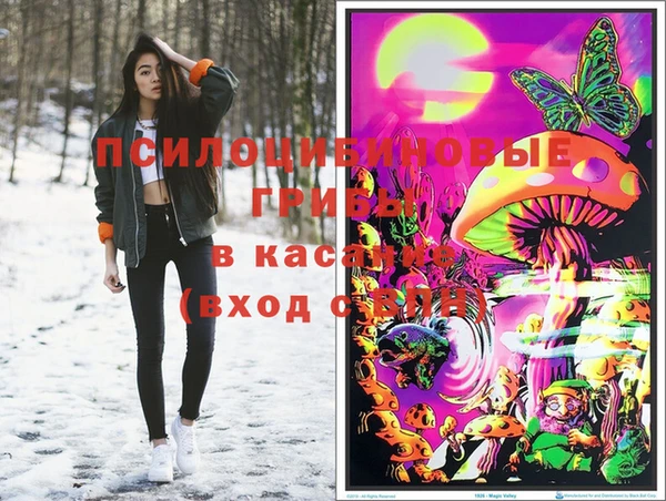 бутират Медногорск